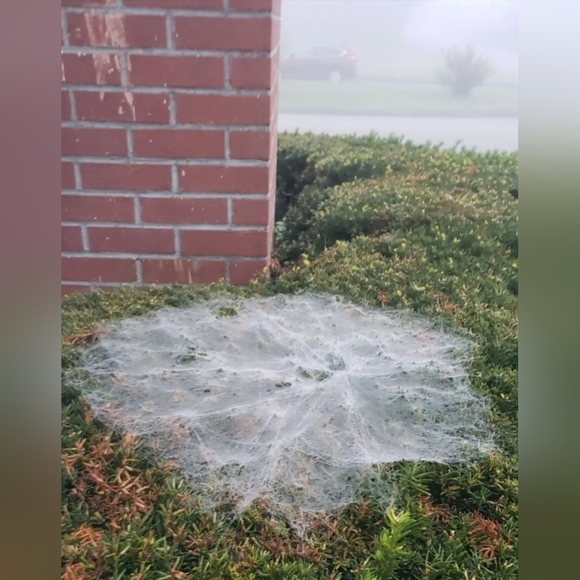 Meet your Posher, Beverly - Picture 9 of 16